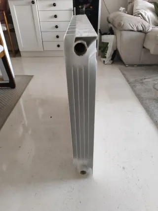 Radiador agua 10 elementos blanco