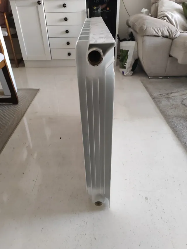 Radiador agua 10 elementos blanco