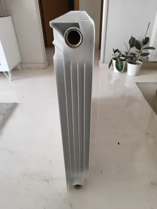 Radiador agua 10 elementos blanco