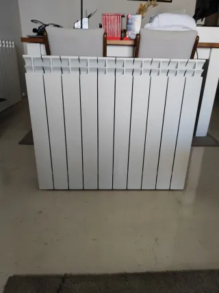 Radiador agua 10 elementos blanco