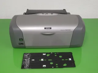 Impresora Epson Stylus Photo R220 Gris