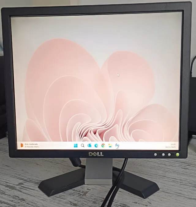 Monitor DELL 17 Negro/Gris