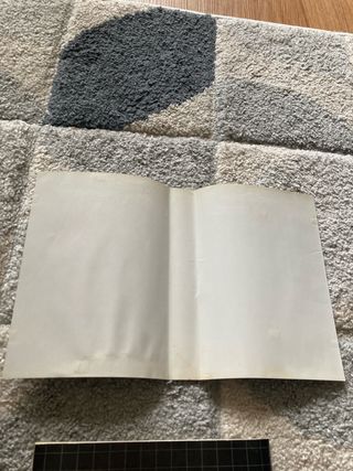 Golden Axe Mega Drive Sega Cartucho Manual Caja