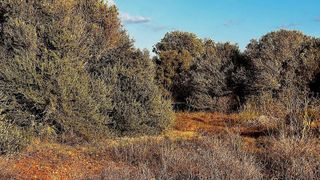 Solar en venta en Campos