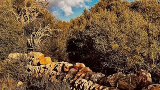 Solar en venta en Campos