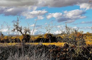 Solar en venta en Campos