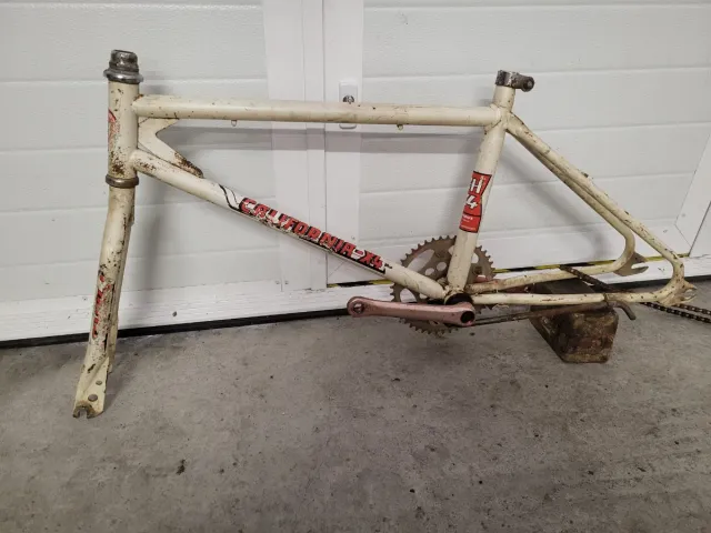 Cuadro bh California X4 con bielas thum