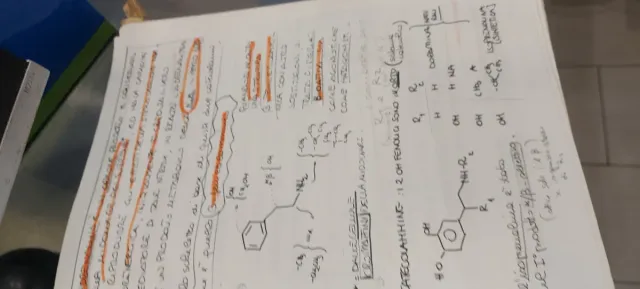 Appunti categoria adrenergici