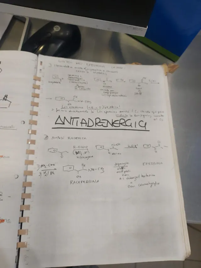 Appunti categoria adrenergici