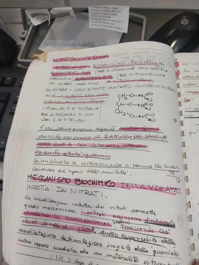 Appunti categoria adrenergici