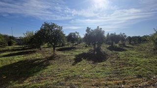 Terreno en venta en La Hacienda - Nueva Andalucía en Dos Hermanas