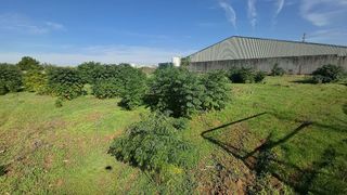 Terreno en venta en La Hacienda - Nueva Andalucía en Dos Hermanas