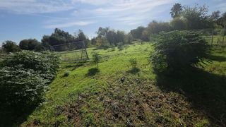 Terreno en venta en La Hacienda - Nueva Andalucía en Dos Hermanas