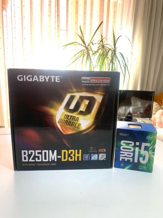 Placa Base Gigabyte B250M-D3H + Intel i5-7500