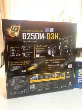 Placa Base Gigabyte B250M-D3H + Intel i5-7500