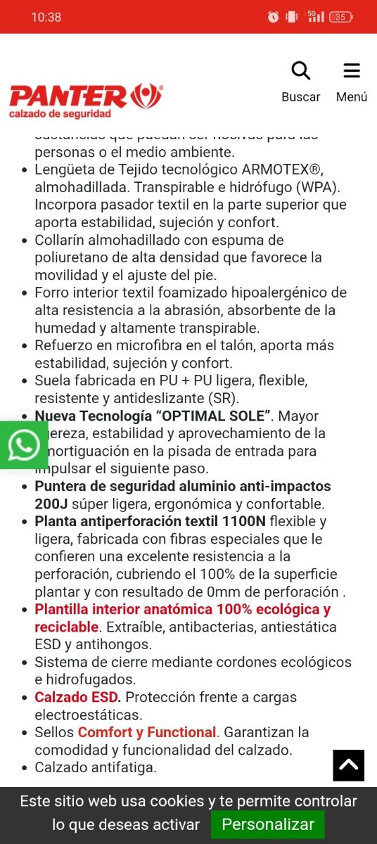 Calzado de seguridad Panter