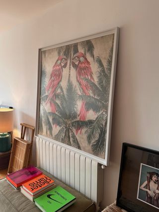 Cuadro Guacamayos 126x126cm