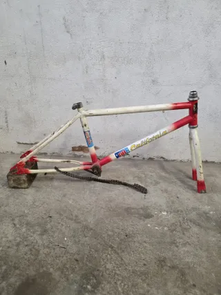 Cuadro bh California Sky BMX