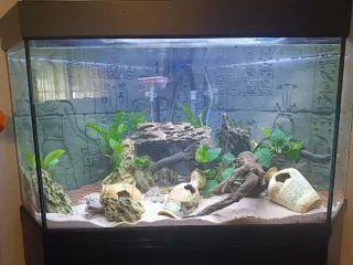 Acuario de esquina negro y transparente