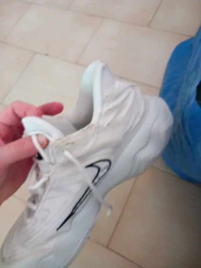 REGALO Zapatillas Baloncesto Nike Blancas