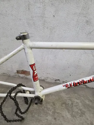 Cuadro BH California X4