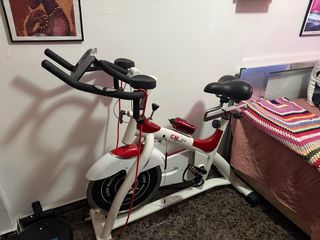 Bicicleta Spinning GM Sports