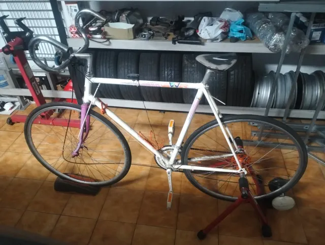 Bicicleta con rodillo