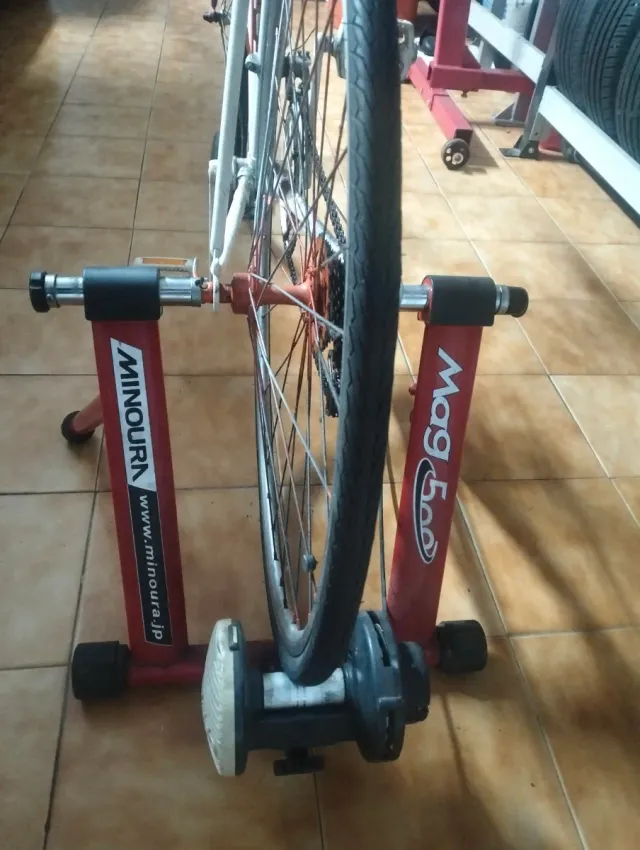 Bicicleta con rodillo