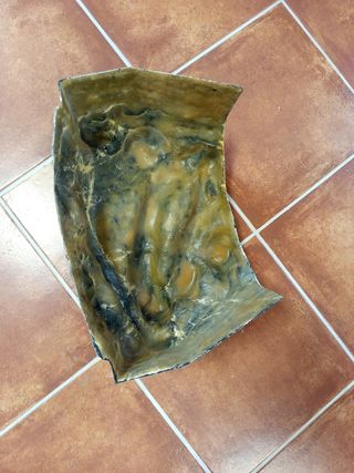 Decoración leña chimenea