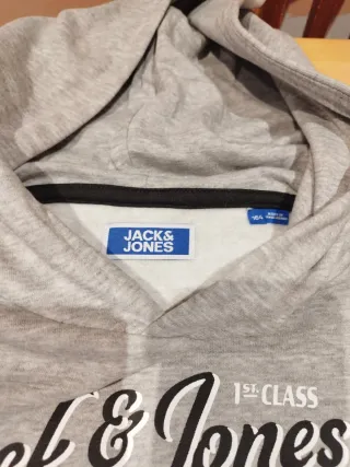 Sudadera gris con capucha