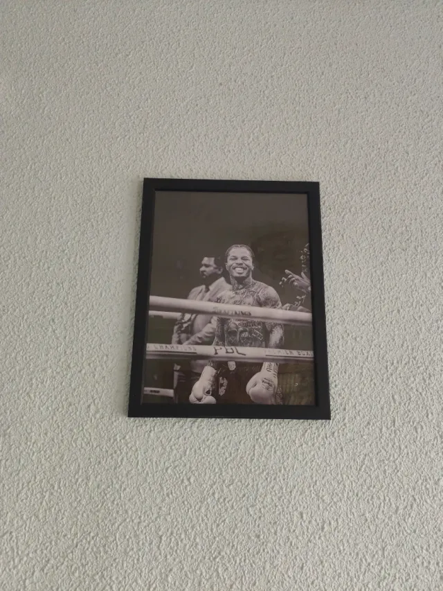 Cuadro Gervonta Davis Boxeo
