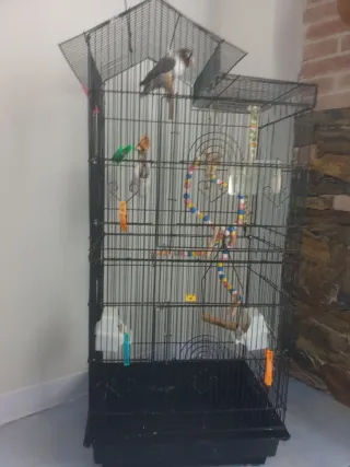 Jaula para pájaros grande