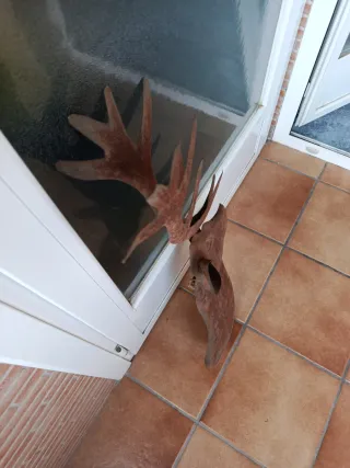 Ciervo de chapa de hierro