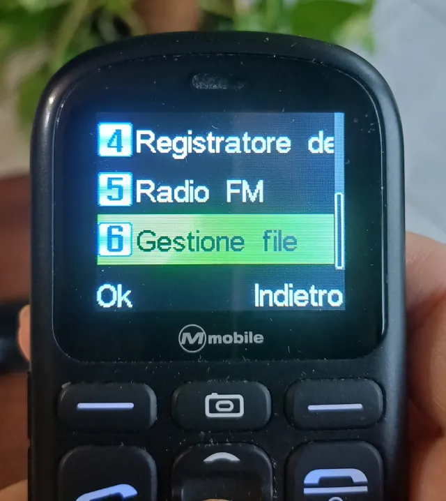 Cellulare M-Mobile MMFAC2 nero- Blu con Base