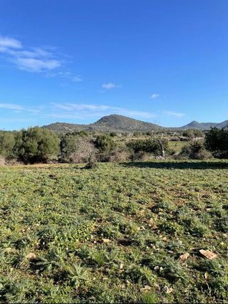 Solar en venta en Sant Llorenç des Cardassar