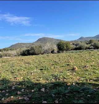 Solar en venta en Sant Llorenç des Cardassar