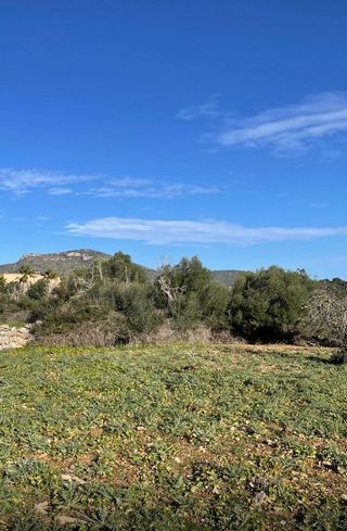 Solar en venta en Sant Llorenç des Cardassar