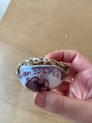 Conchiglia decorata con il segno dell’Acquario