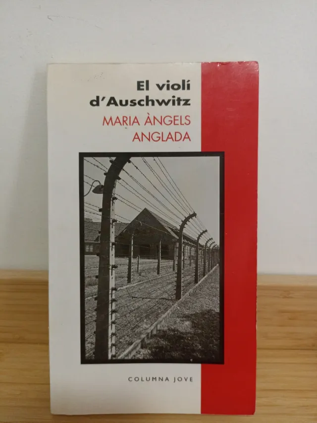 EL VIOLI D`AUSWITCHZ (jove)