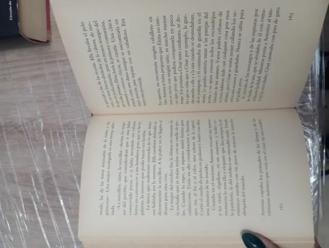 Libro Melocotones helados