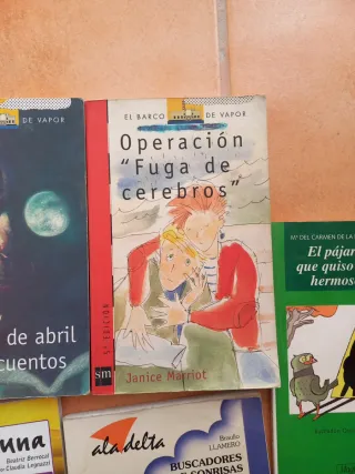 Oferton ..Lote libros