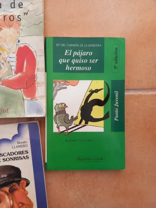 Oferton ..Lote libros