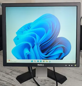 Monitor Dell 17 Negro/Plateado