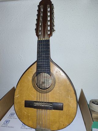 Bandurria Telesforo Julve 1950