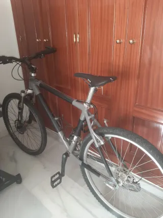 Bicicleta de montaña gris