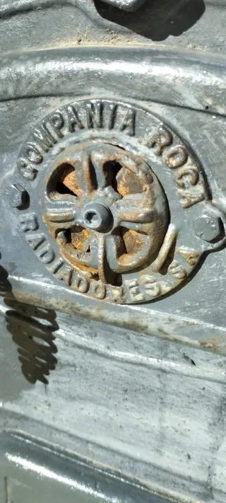 Caldera leña carbón Roca Serie 00