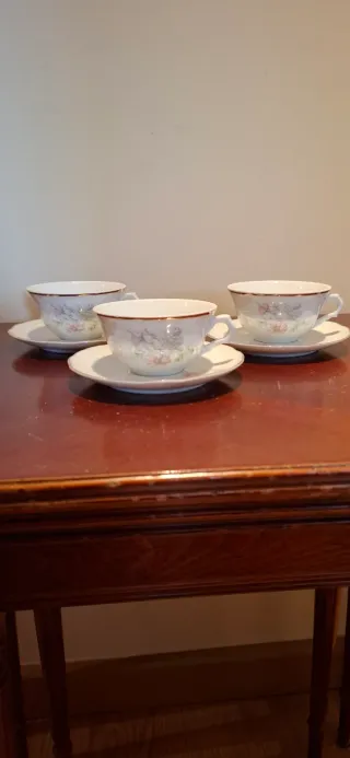 Tazas de café Vista Alegre con plato