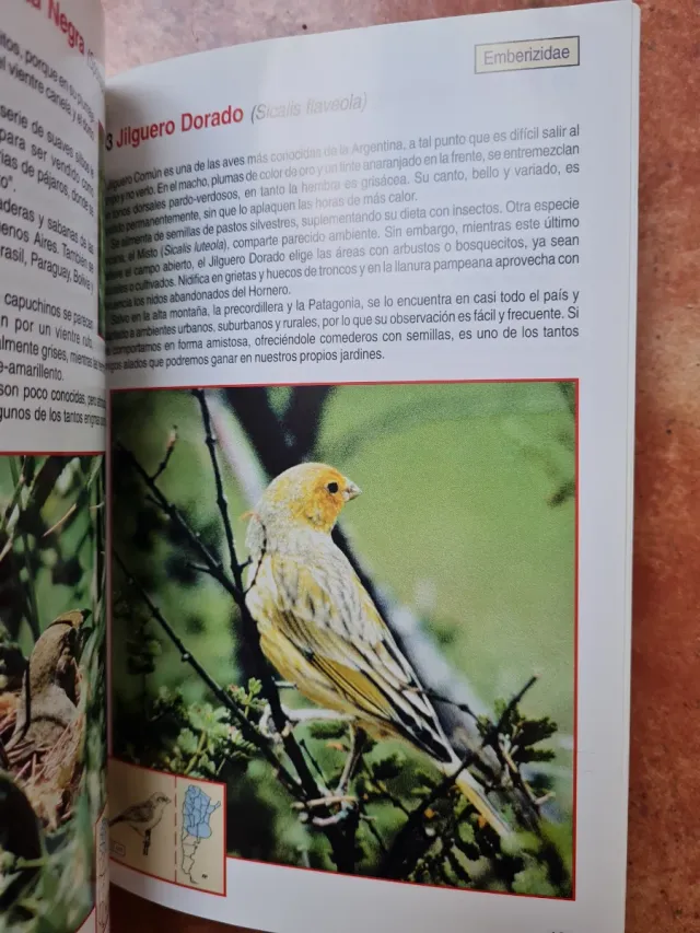 Libro 100 Aves Argentinas