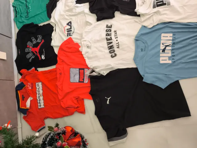 Lote camisetas Marca. Van 10 camisetas y un polo.