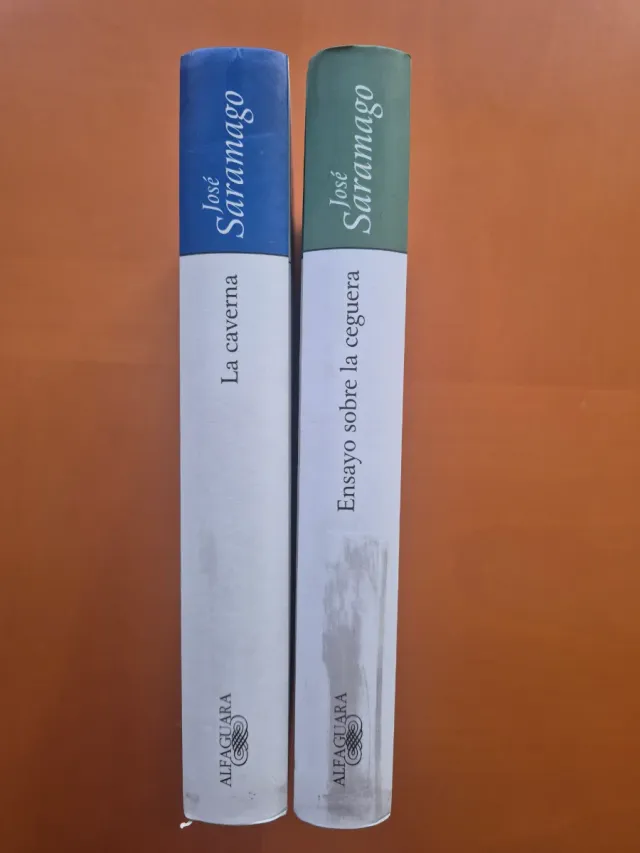 José Saramago Ensayo sobre la ceguera y la caverna